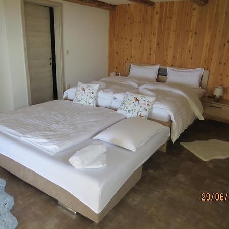 Studio 1111 With Sauna & Hot Tub Dravograd المظهر الخارجي الصورة
