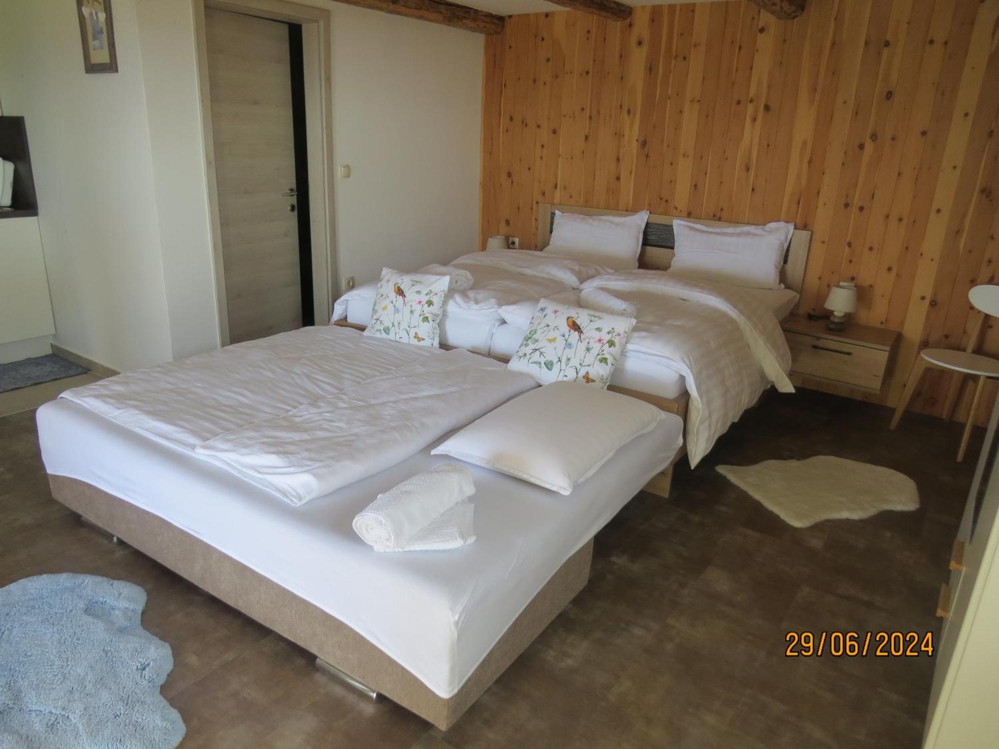 Studio 1111 With Sauna & Hot Tub Dravograd المظهر الخارجي الصورة